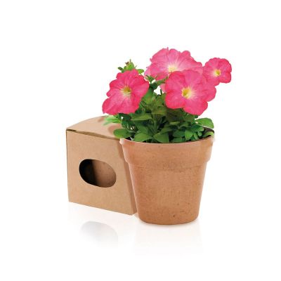 ADVERT - Flowerpot