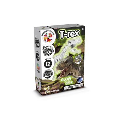 FOSSIL EXCAVATION KIT I - Educational game for children