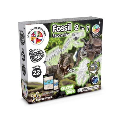 2 IN 1 FOSSIL EXCAVATION KIT I - Educational game for children